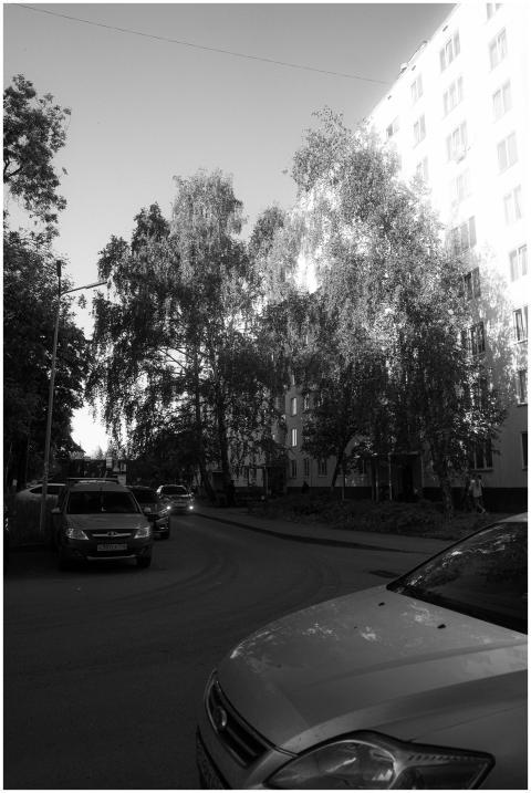 Black White Urban Street