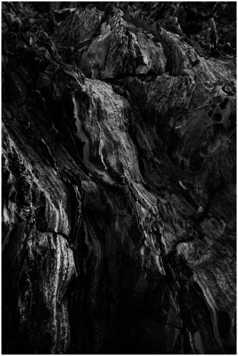 A striking close-up of a textured rocky surface ca