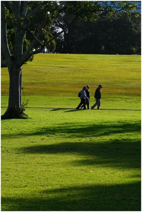 A serene view of people walking in a lush green pa