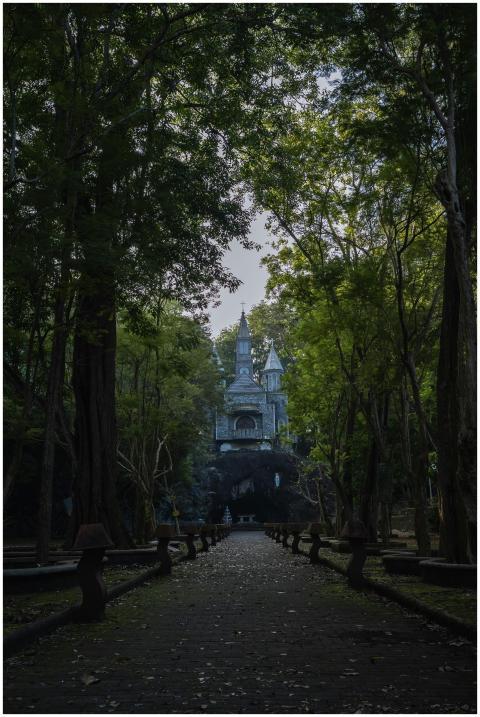 Pathway Leading Enchanted Castle