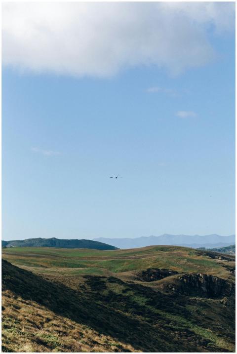 Serene landscape of rolling hills and clear blue s