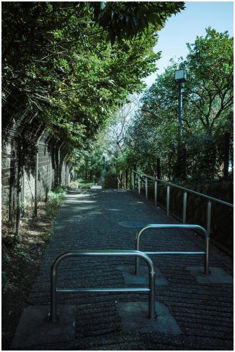 Tranquil pathway with green foliage in Meguro City