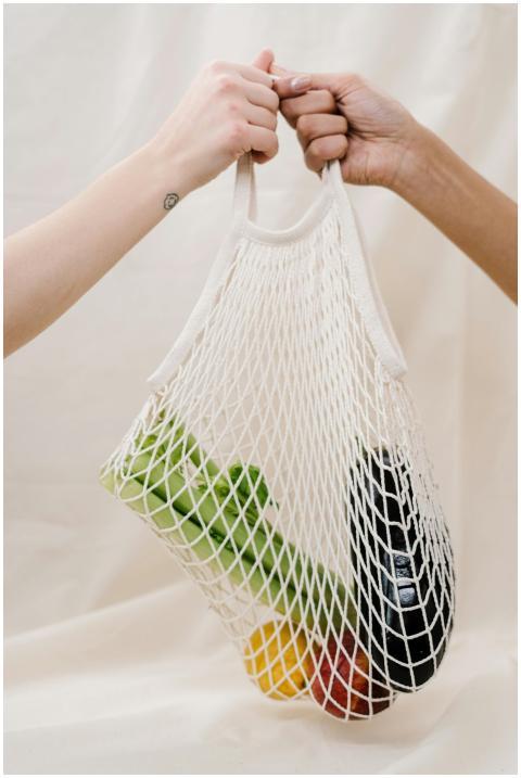 Hands holding a mesh bag filled with fresh vegetab