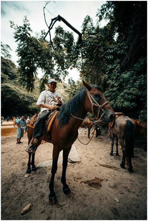 Experience a horseback riding adventure through th
