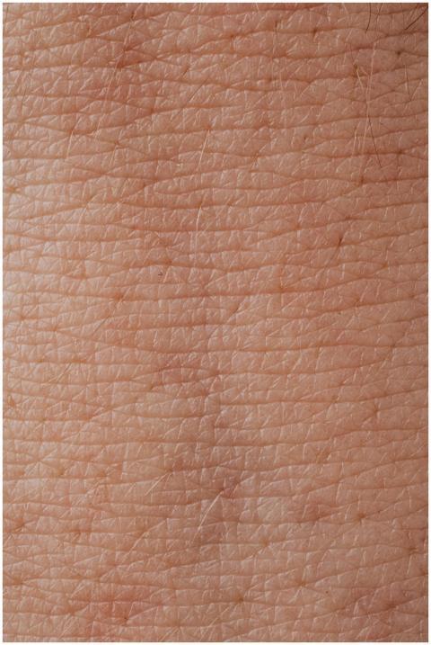 Detailed macro shot of human skin texture highligh
