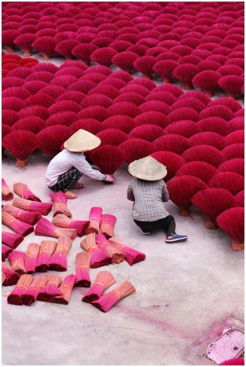 Two Vietnamese workers arranging vibrant red incen