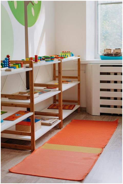 Colorful educational toys neatly arranged on shelv