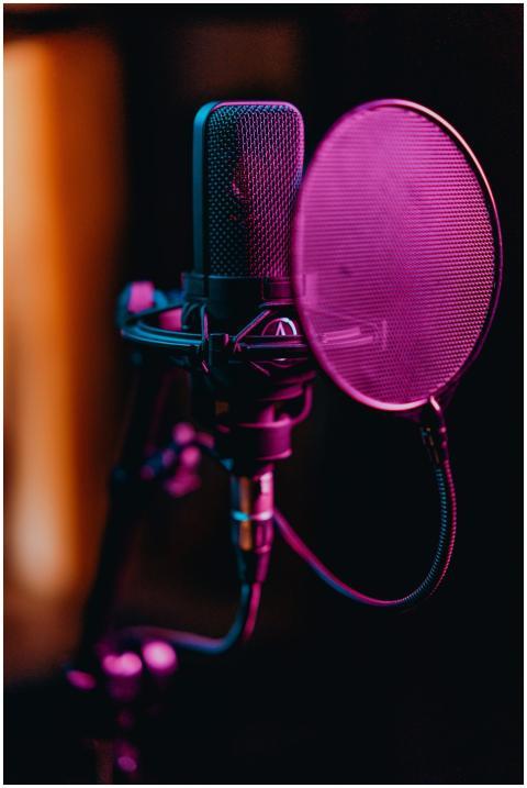 Close-up of a professional condenser microphone an