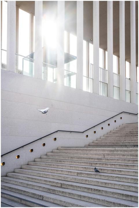 White stairs with pigeons in urban sunlight, moder