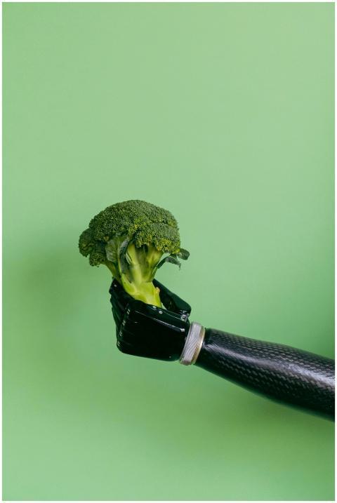 A prosthetic hand holding fresh broccoli against a