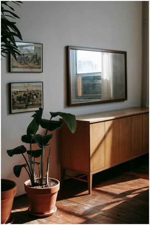 Wooden cabinet near green potted houseplant placed