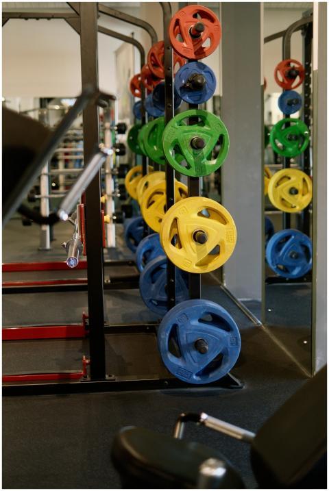 Vibrant colored weight plates stacked in a modern