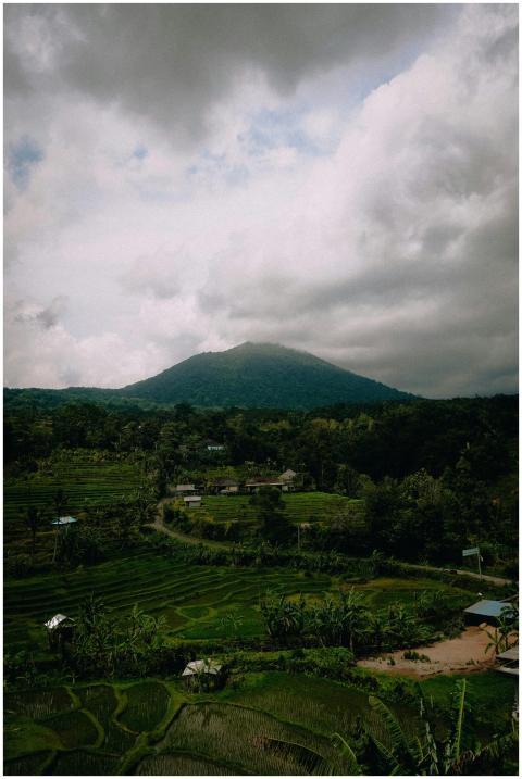 Beautiful view of lush rice terraces in Bali, Indo