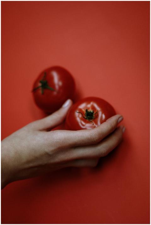 A close-up of a hand holding two ripe red tomatoes