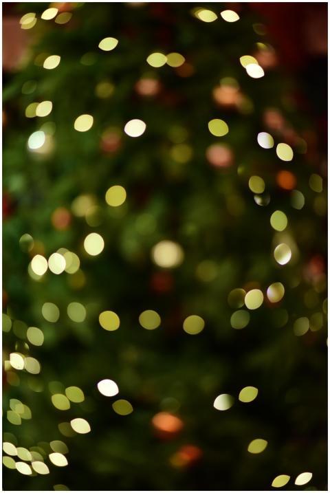 Blurred lights on a decorated Christmas tree creat