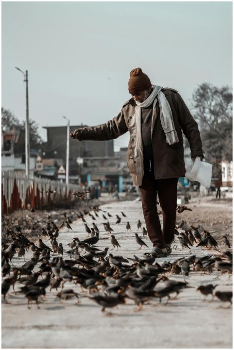 An elderly man feeding pigeons on a sidewalk in an