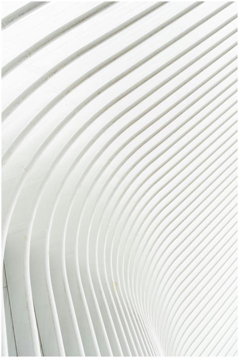 Minimalist white abstract pattern featuring curved