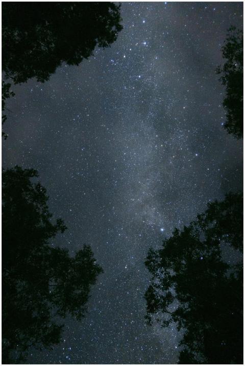 Capture the brilliance of the Milky Way in a clear