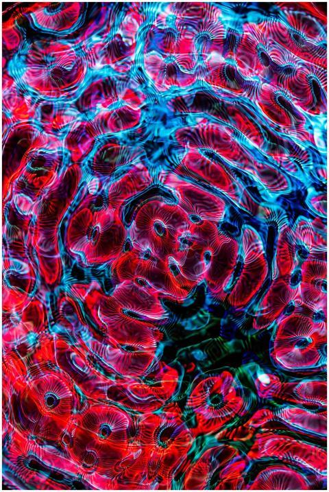 Vibrant abstract art showcasing swirling patterns