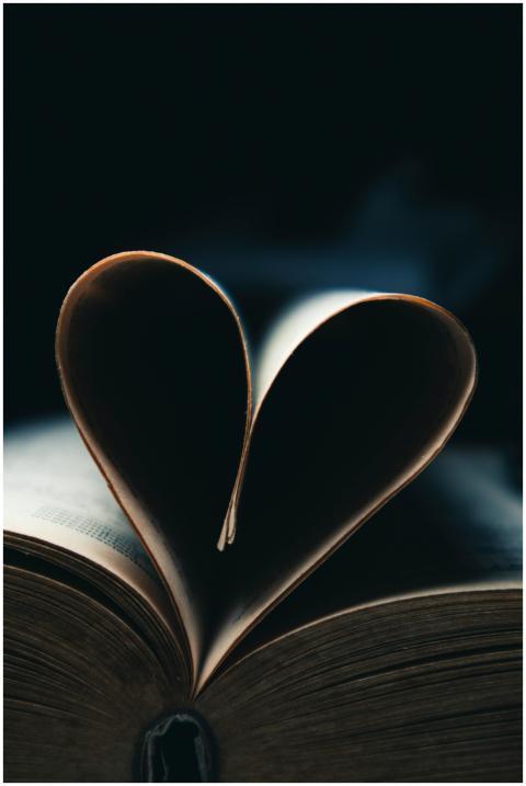 A book with pages forming a heart shape in dim, at
