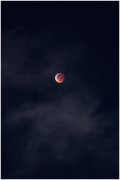 Stunning blood moon captured in a starry night sky