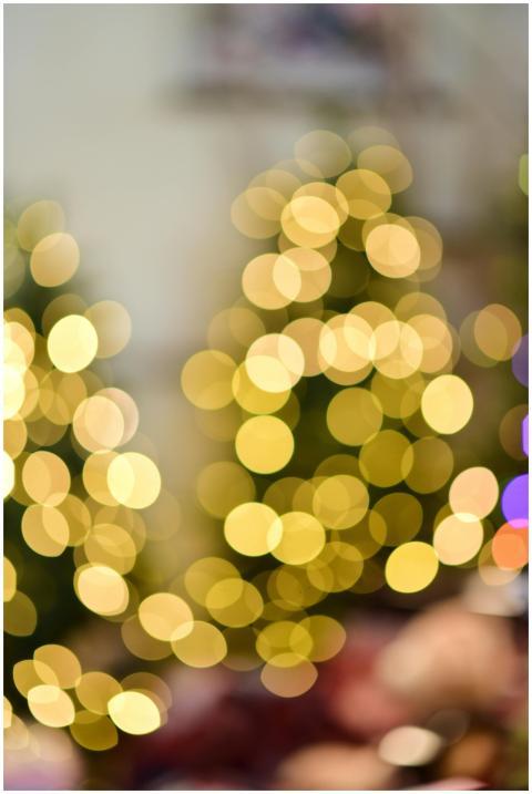 Bokeh effect of Christmas tree lights creating a w