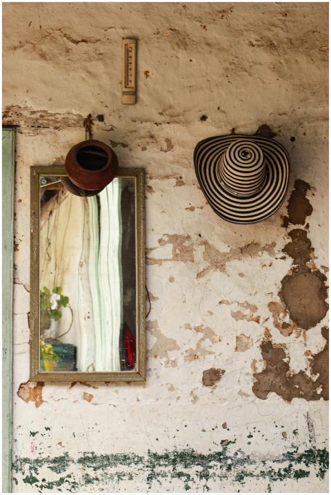 Rustic wall with a mirror reflecting green plants,