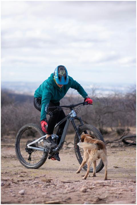 A cyclist on a mountain bike interacts with a curi