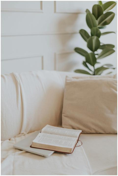 Open Bible resting on a beige couch with a housepl