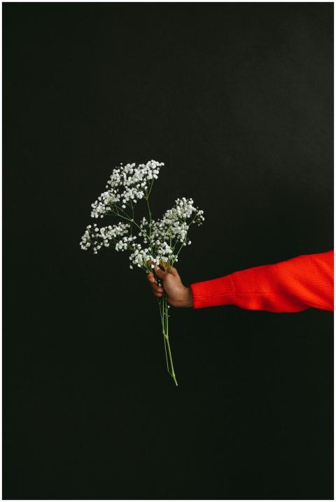A hand holding a delicate bouquet of baby's breath