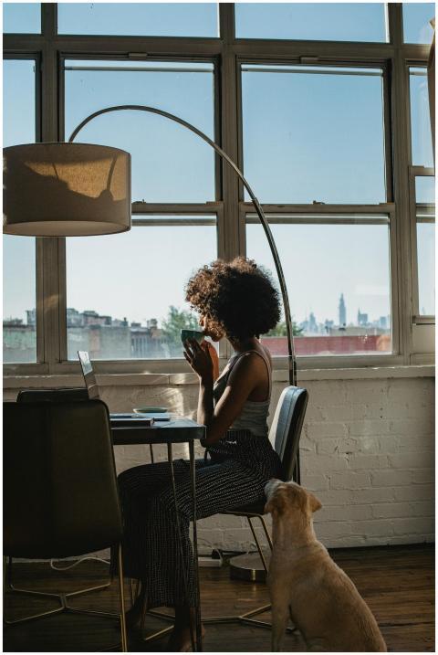 Woman working on a laptop by the window with her d