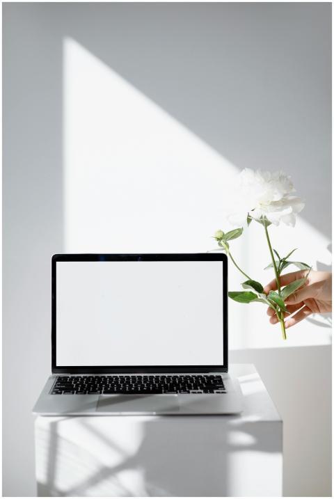 A minimalist setup featuring a blank laptop screen