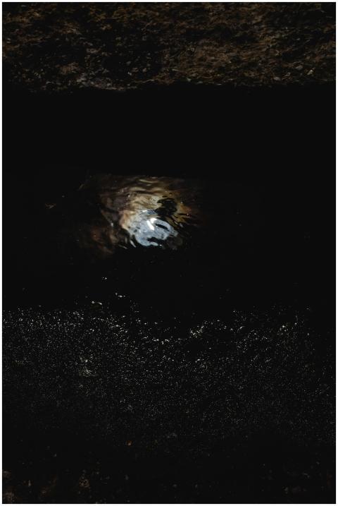 A dark and atmospheric close-up of a puddle reflec