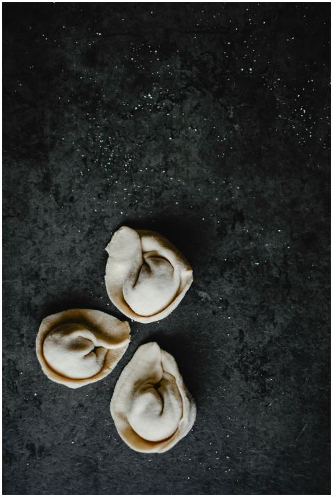 Minimalistic presentation of three raw dumplings o