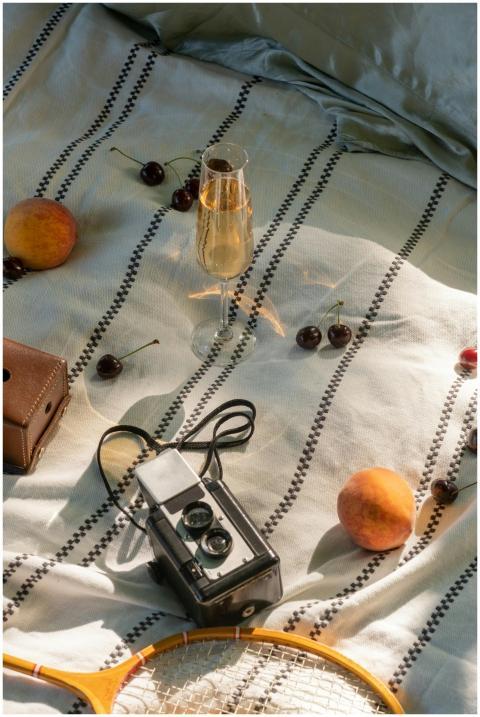 Vintage camera and champagne on a picnic blanket w