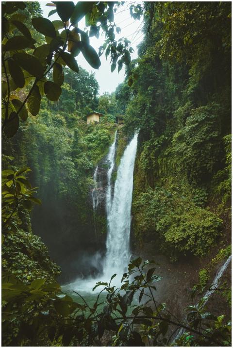 Stunning waterfall in a lush tropical rainforest i