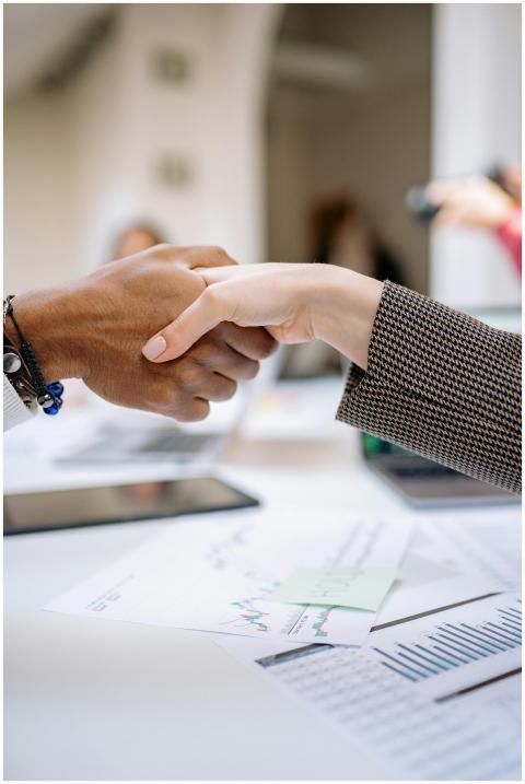 Close-up of a professional handshake over business