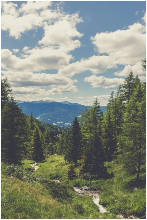 Idyllic landscape of lush green forest and mountai