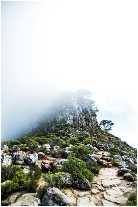 Foggy mountain terrain in Cape Town, South Africa,