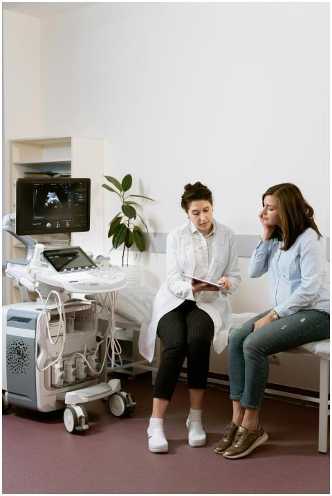 A pregnant woman consults with a healthcare profes