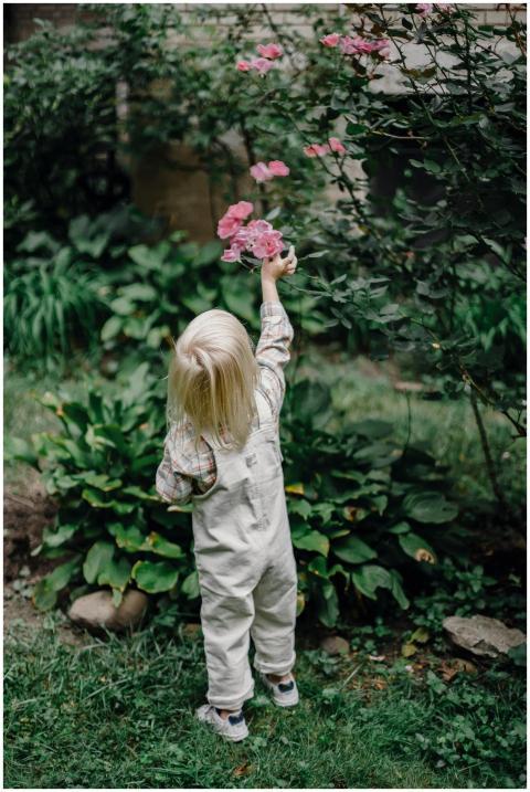 Back view of anonymous little child with blond hai
