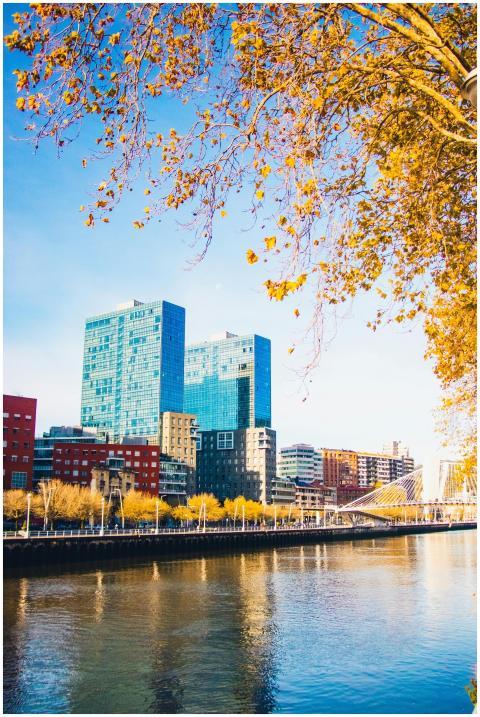 Bright autumn day with modern high-rises by the ri