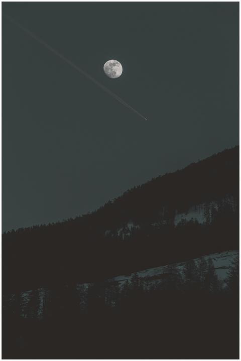 A peaceful night scene featuring a full moon and f