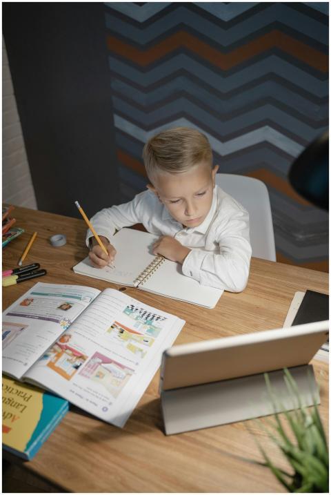 A young boy engaged in learning at home, using a t