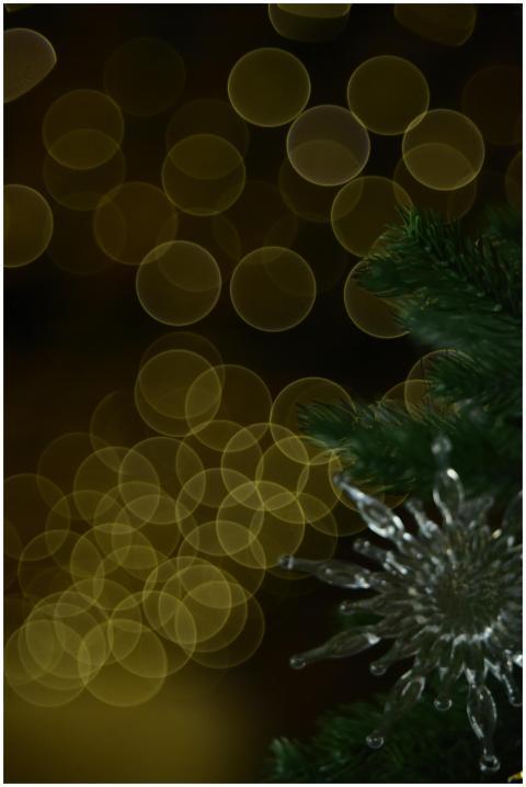 Christmas tree and glass ornament with festive bok