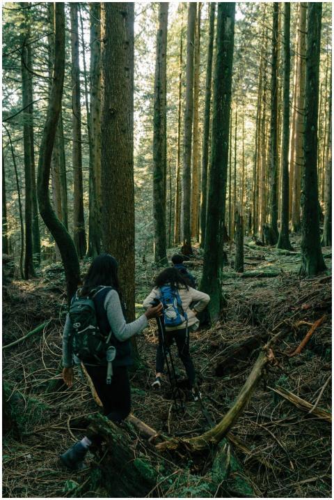 Friends exploring a lush forest trail with backpac