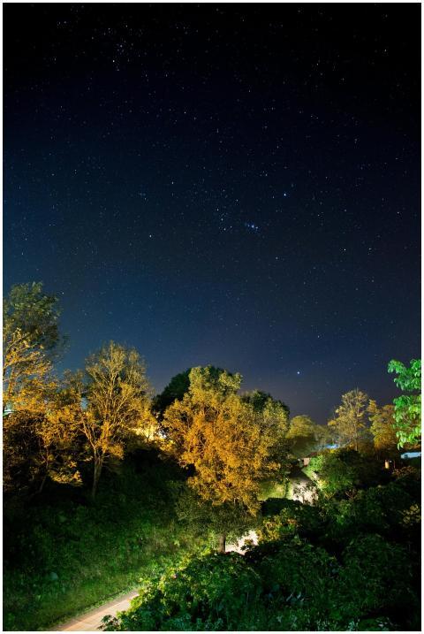 A stunning view of a star-filled night sky above a
