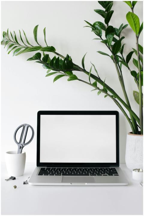 A minimalist workspace featuring a laptop and gree