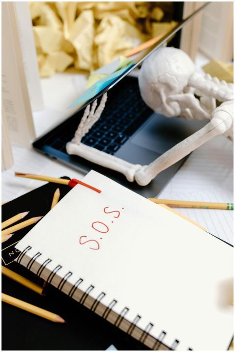 A skeleton figure resting on a laptop with a notep