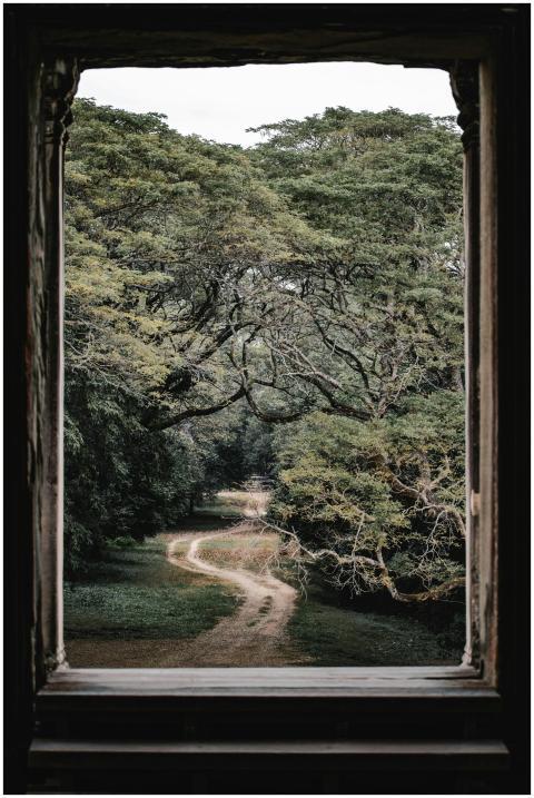 Serene view of a winding forest path framed by an